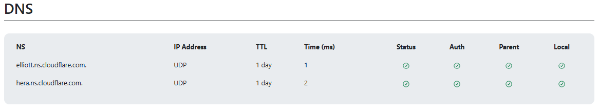 dns health check results
